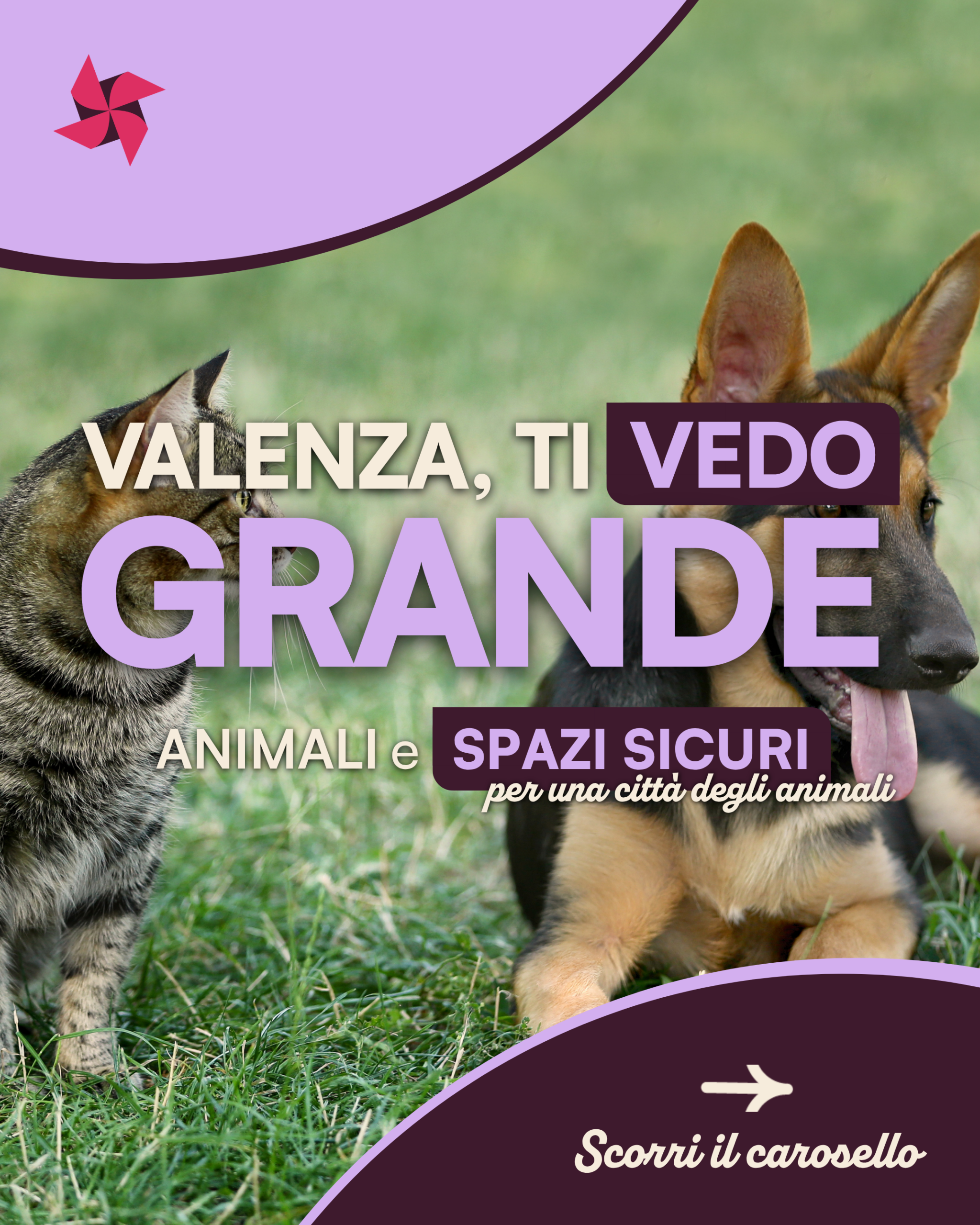 Animali e spazi sicuri: aree curate, regole chiare e collaborazione con le associazioni